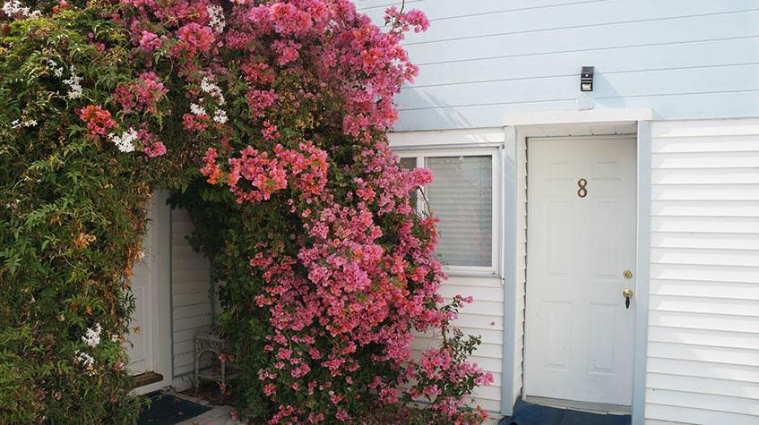 Stinson Beach Motel Luaran gambar